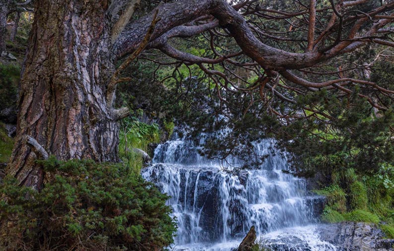 Cascade au lac de l'Oule