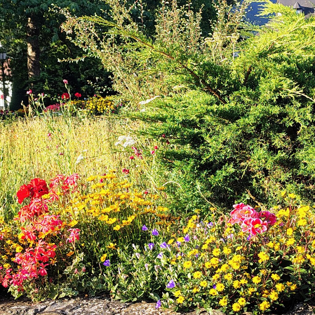 Labellisation « Villes et Villages Fleuris »