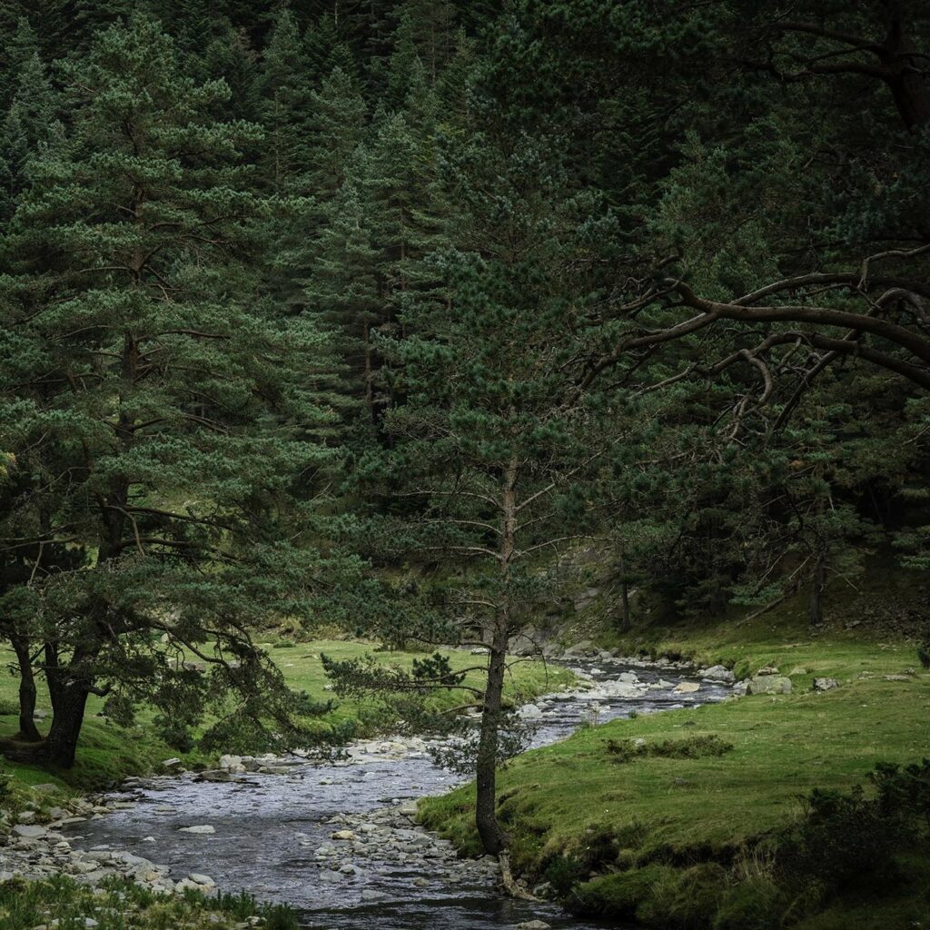 Création du Sentier de l’Eau