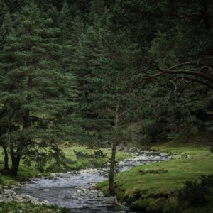 Création du Sentier de l’Eau