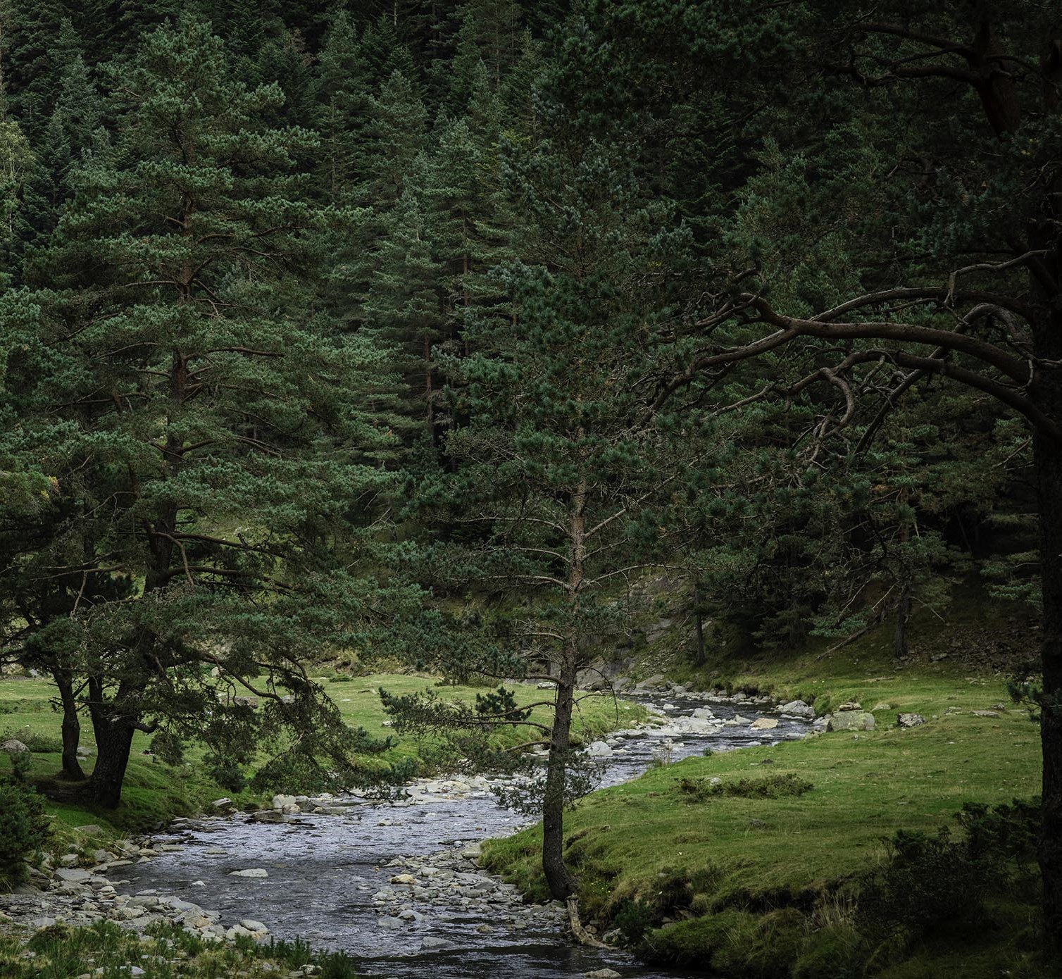 Création du Sentier de l’Eau