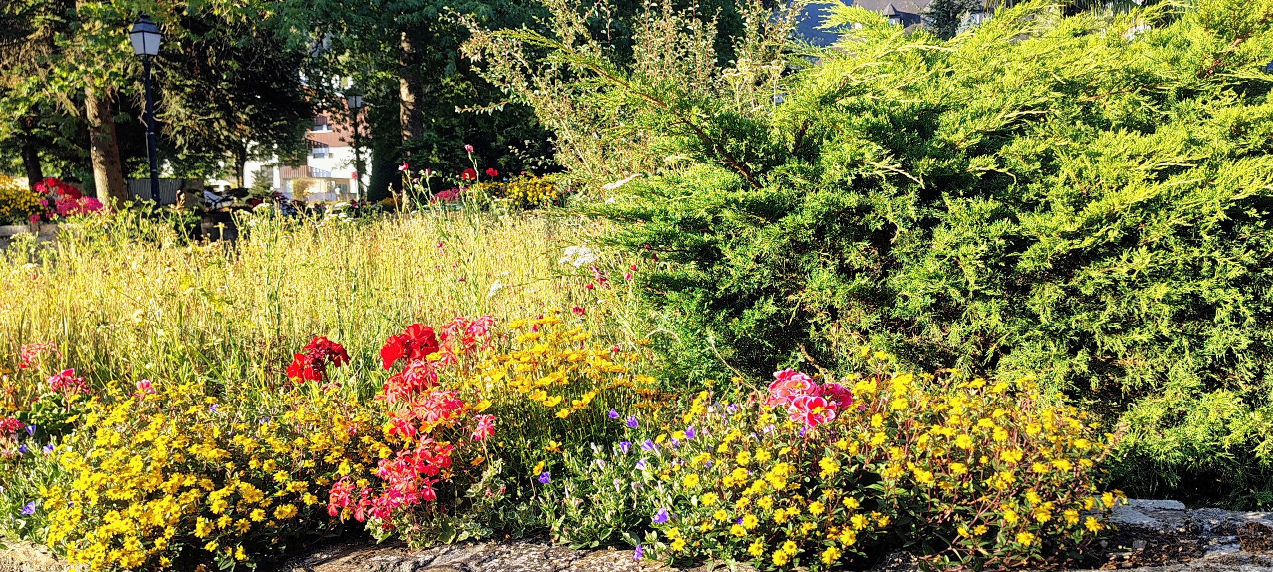 Labellisation « Villes et Villages Fleuris »
